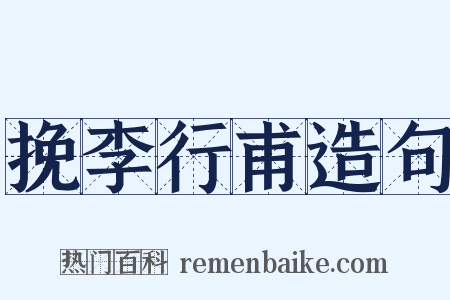 挽李行甫造句是什么意思的图片